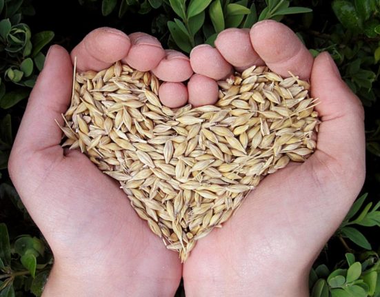Alimente bune pentru inima si intestine recomandarile specialistilor
