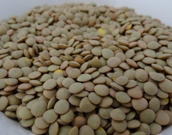 Leguma ce inlocuieste carnea bogata in proteine si fier