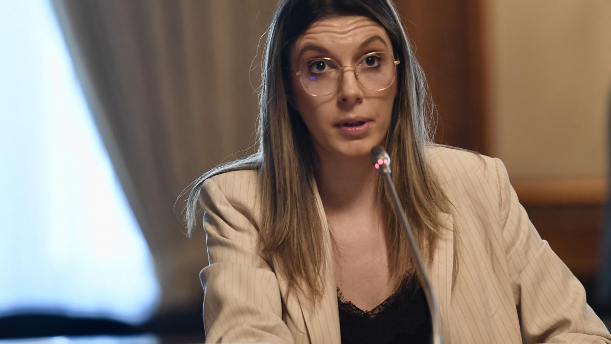Diana Buzoianu Sefii RA APPS sustin ca nu folosesc bani publici