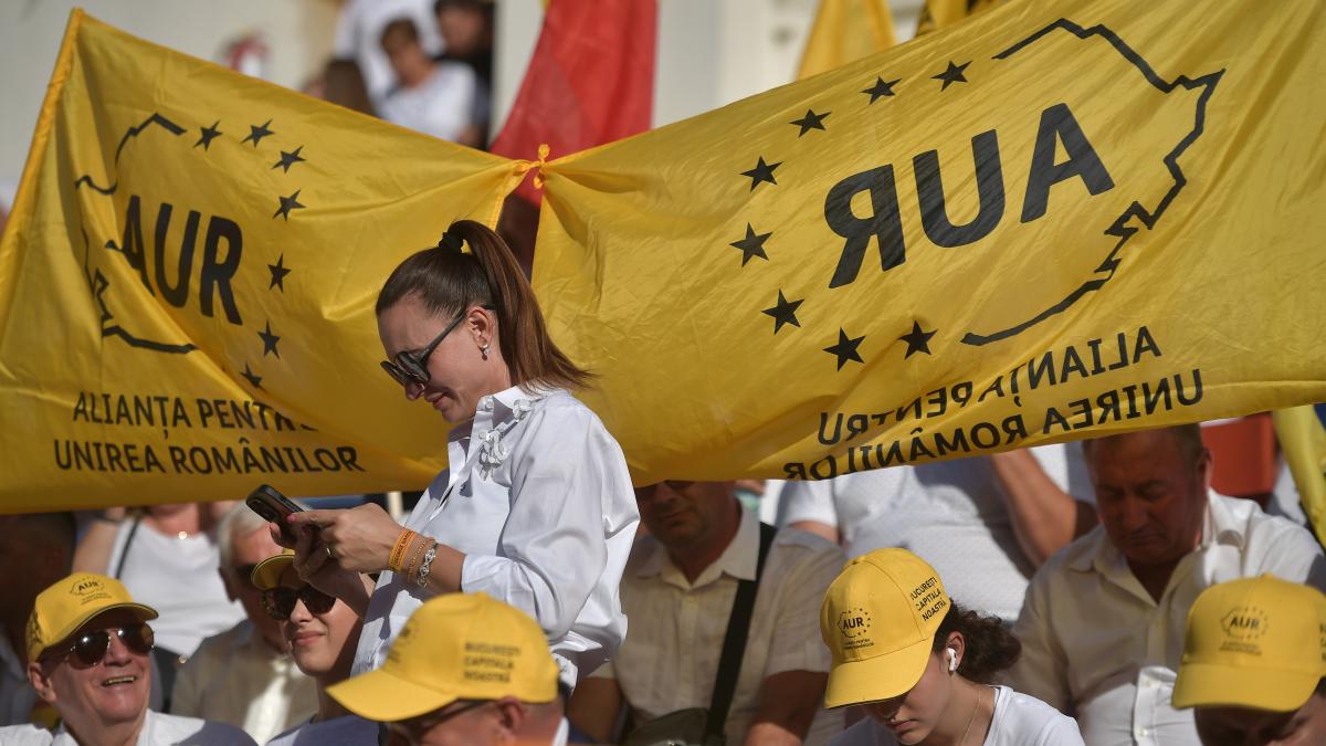 Parlamentarii AUR revin in plen si comisii purtand banderole albe
