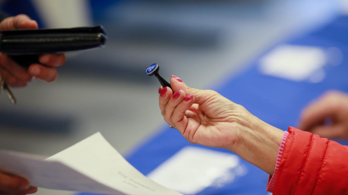 Incepe campania pentru alegerile partiale din 4 mai