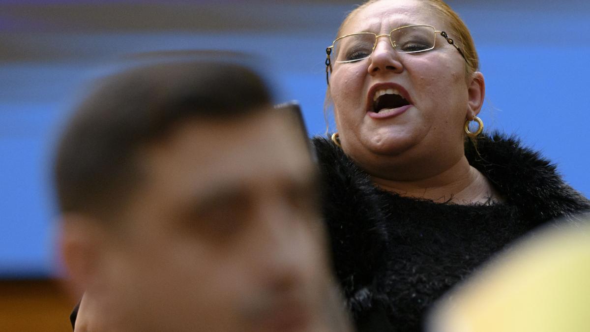 Lege anti Sosoaca Comportamentul agresiv interzis in Parlament