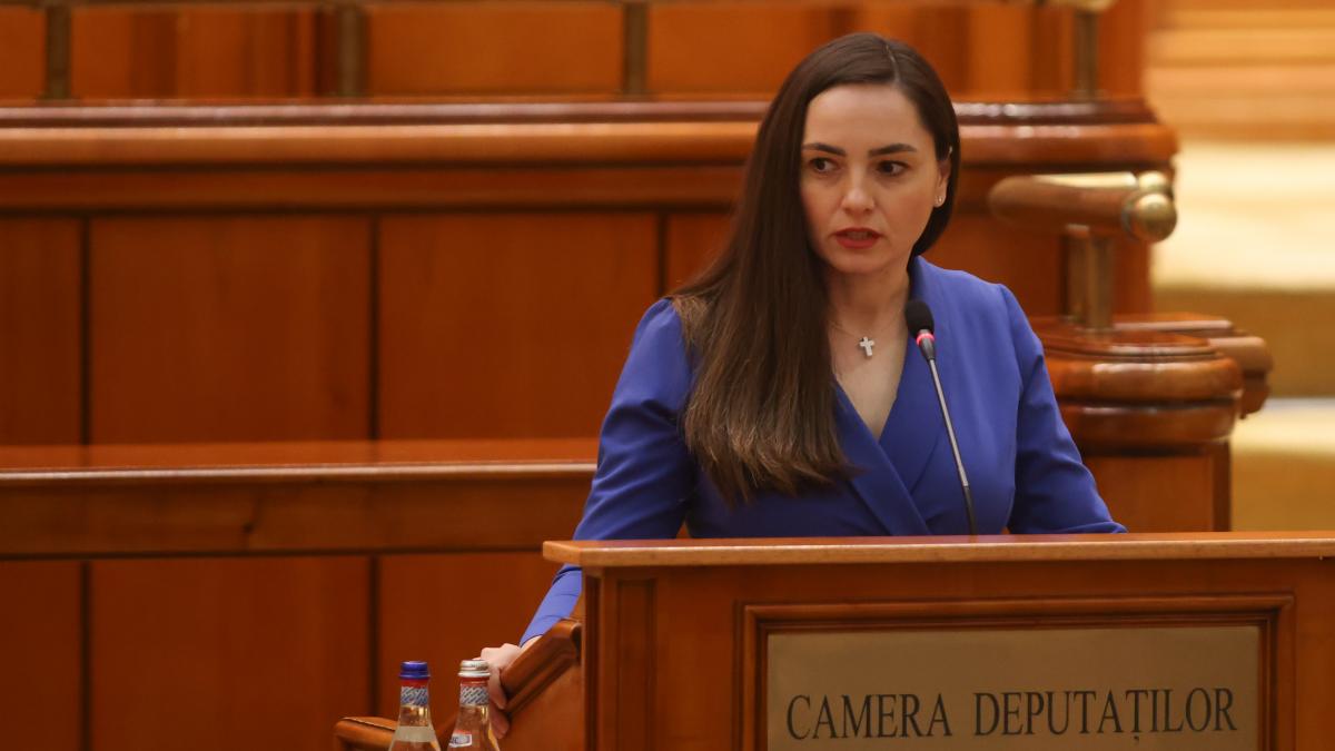 POT a cerut rambursarea banilor pentru sampanie AEP sa autosesizat se fac controale la partide