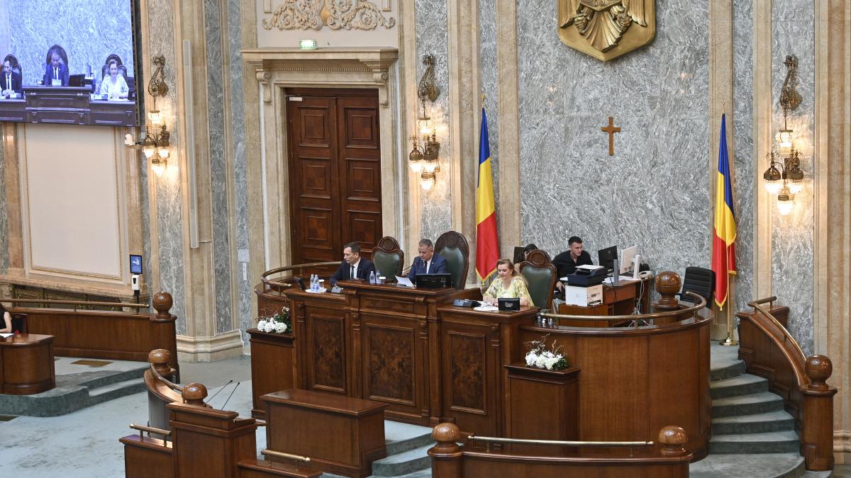 USR se lauda ca a votat motiunea simpla cu AUR SOS si POT
