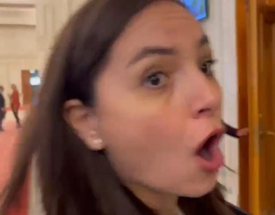 Anamaria Gavrila tipa si ameninta jurnalistii la Parlament Sunteti pe cale de disparitie Abia astept sa va vad disparuti