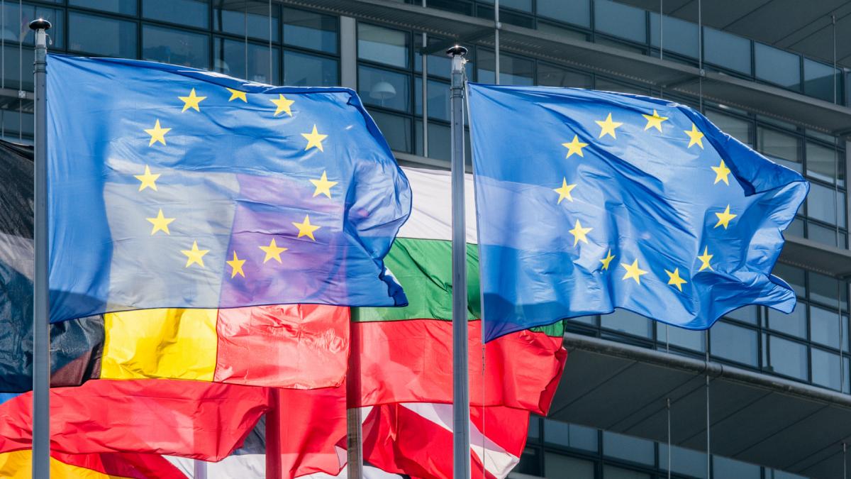 Grupul Renew din Parlamentul European il sprijina pe Nicusor Dan in turul doi al prezidentialelor Este momentul unitatii