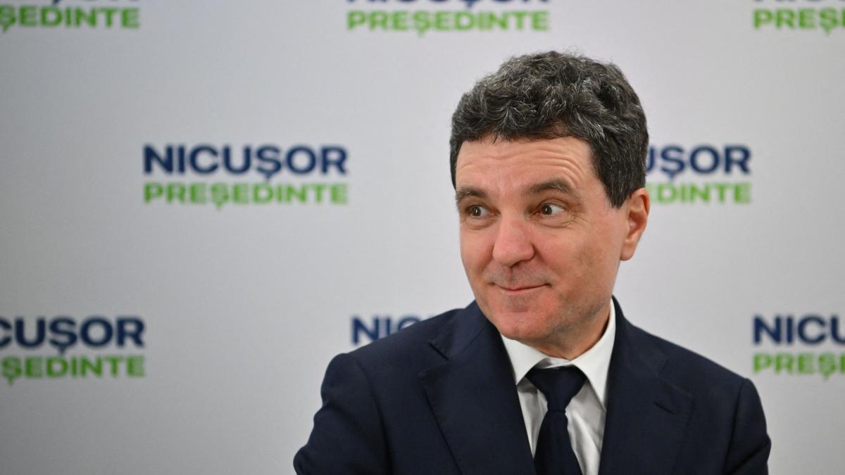 Nicusor Dan despre garantiile pentru independenta justitiei Calificativul de procesoman e suficient