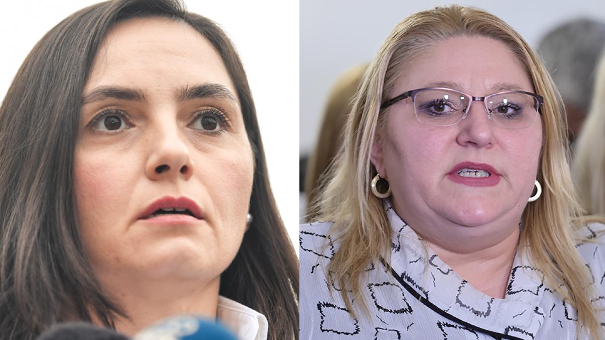 Cearta intre suveranisti Anamaria Gavrila o acuza pe Sosoiaca