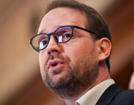 Dominic Fritz Am cerut cetatenia romana astept la coada