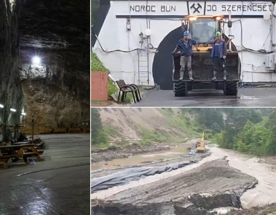 Tanczos Barna a cerut demiterea directorilor Salrom