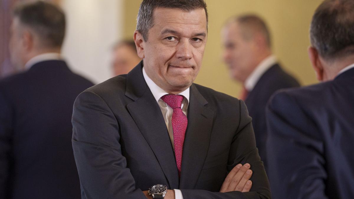 stenograme discutii PSD despre negocierile cu Nicusor Dan