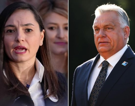Anamaria Gavrila mesaj la Orban Ce a postat sefa POT