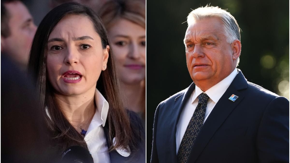 Anamaria Gavrila mesaj la Orban Ce a postat sefa POT