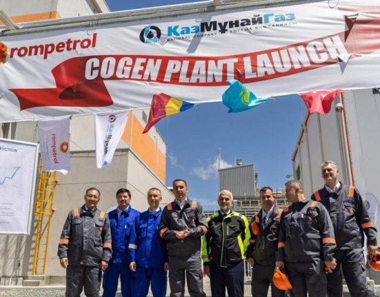 Centrala de cogenerare Petromidia a fost deschisa