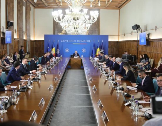 Consultantii privati asteptati de Guvern Reforma incepe cu ministerele