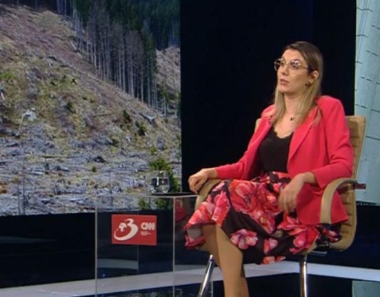 Diana Buzoianu 99 de directori Romsilva 22 milioane lei lunar