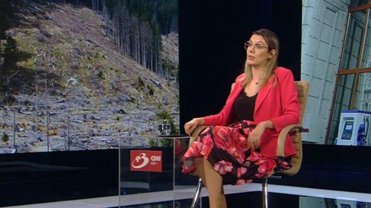 Diana Buzoianu 99 de directori Romsilva 22 milioane lei lunar