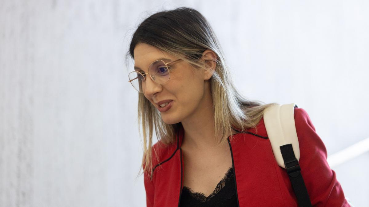 Diana Buzoianu despre frontierele intre ministere