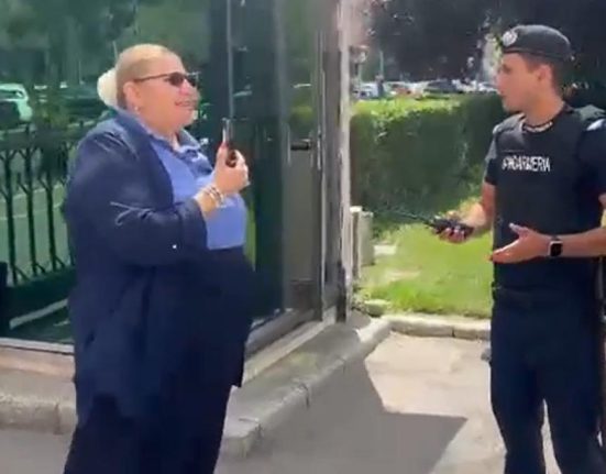 Diana Sosoaca s a certat cu jandarmii la Guvern