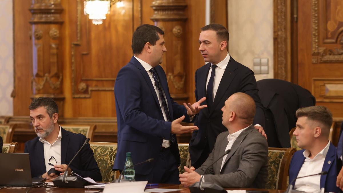 Ministrul Economiei USR nu poate sta cu PSD usor