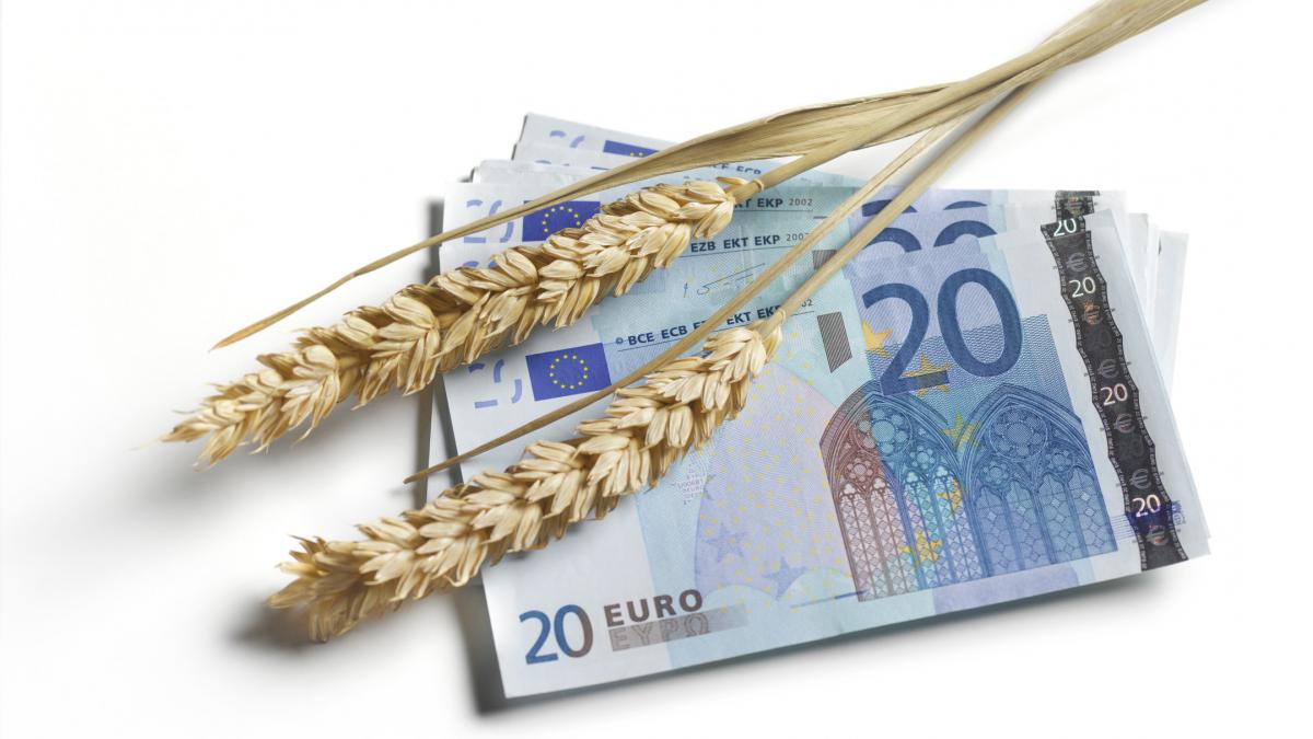 Ministrul Florin Barbu doreste excluderea sporurilor agricole