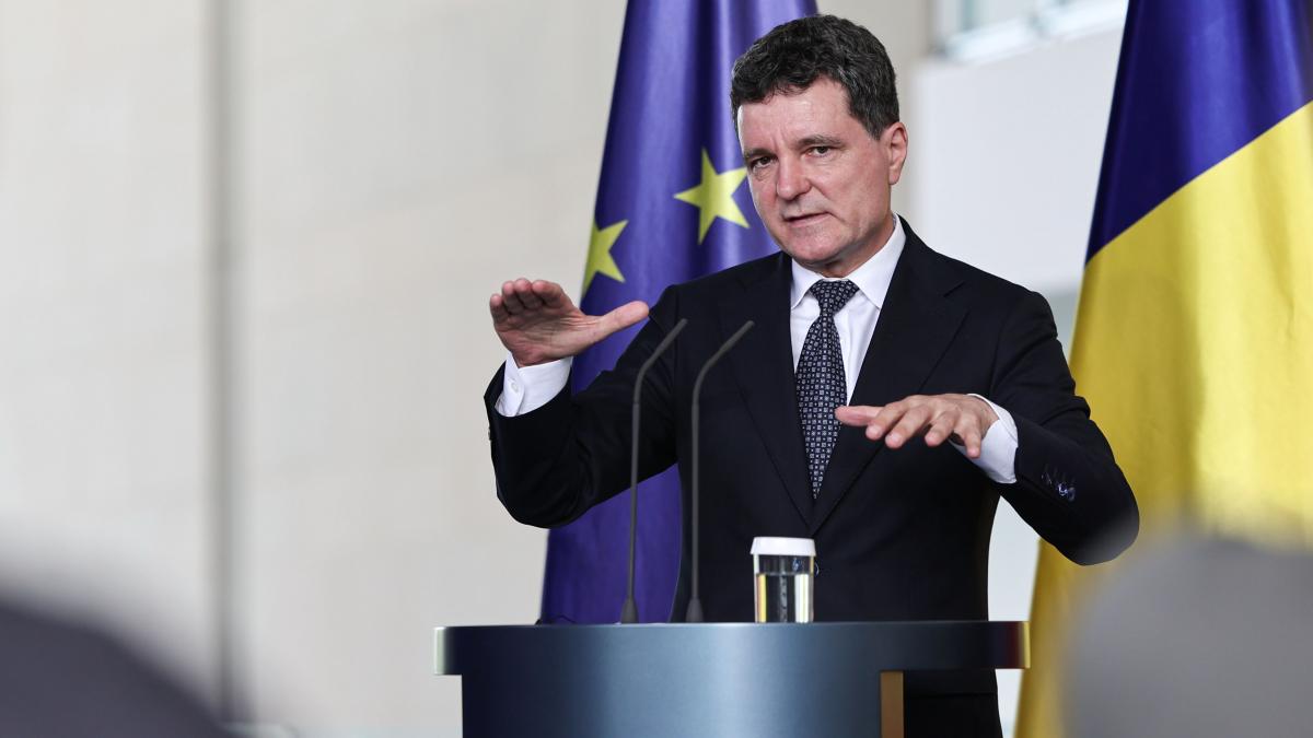 Nicusr Dan Romania va avea un sistem fiscal previzibil