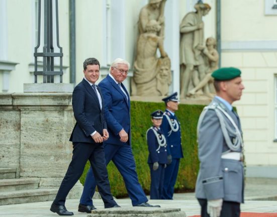 Presedintele Nicusor Dan s a intalnit cu Friedrich Merz