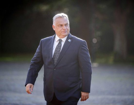 Viktor Orban vrea discutii ample cu Nicusor Dan