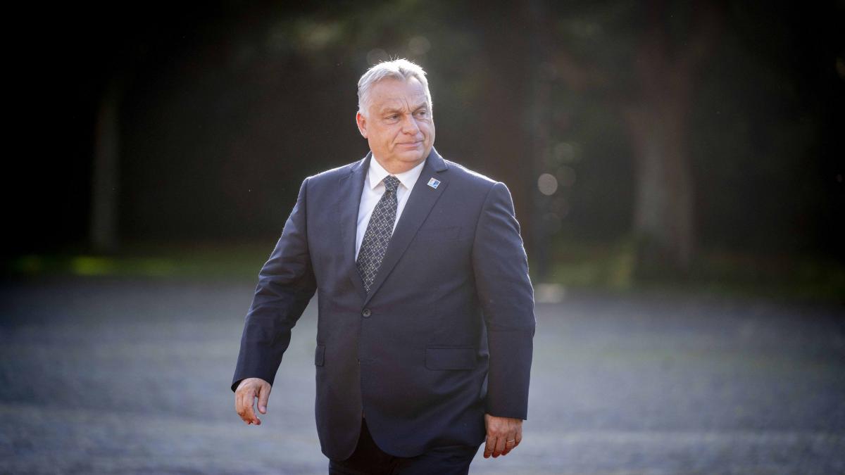 Viktor Orban vrea discutii ample cu Nicusor Dan