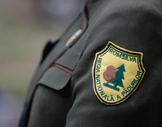 Cifrele dezastrului Romsilva Prime de 46 milioane lei pierderi uriasem