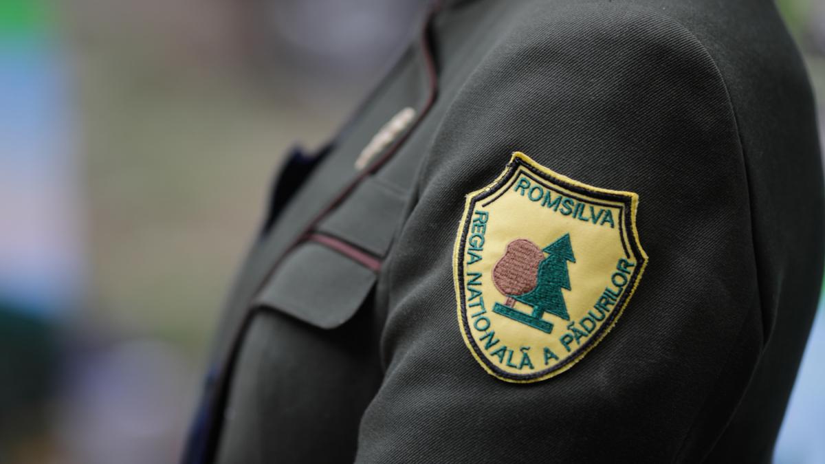 Cifrele dezastrului Romsilva Prime de 46 milioane lei pierderi uriasem