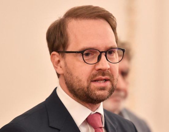 Dominic Fritz cere reforma profunda la ANAF pentru a evita controale abuzive