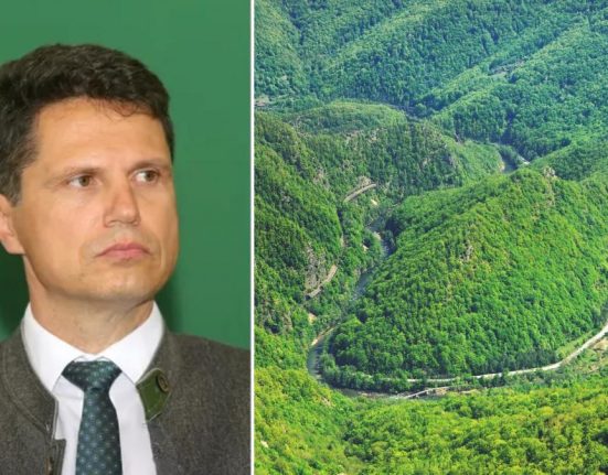 Milionarul de la Romsilva Danut Apostu si afacerile sale