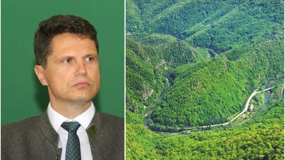 Milionarul de la Romsilva Danut Apostu si afacerile sale
