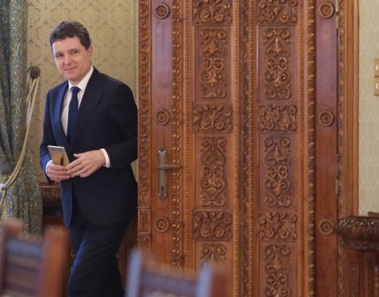 Nicusior Dan consulta la Cotroceni despre pensiile speciale
